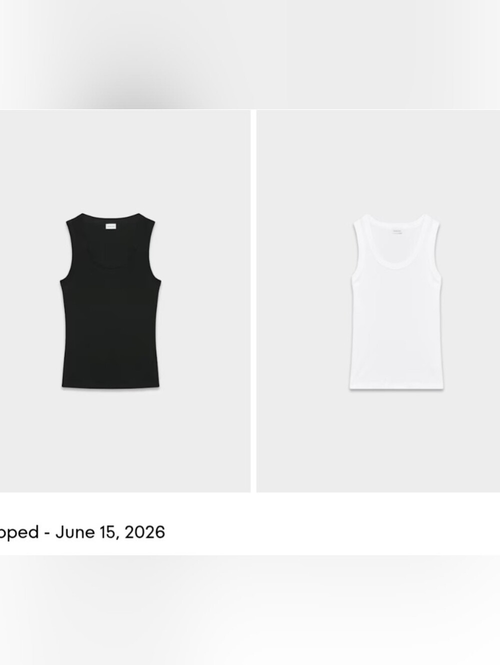 Aritzia babaton Busy Tank XL 2/$40
